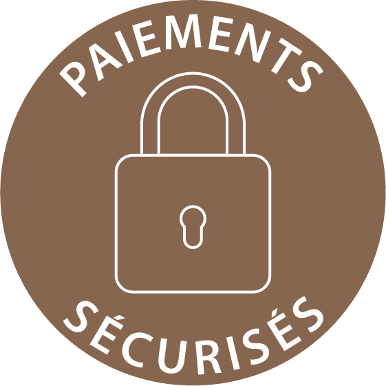 Icone de paiements sécurisés